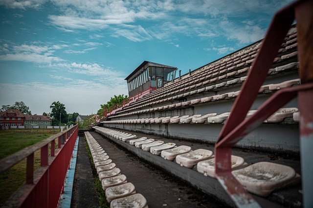 在全球经济 在全球经济