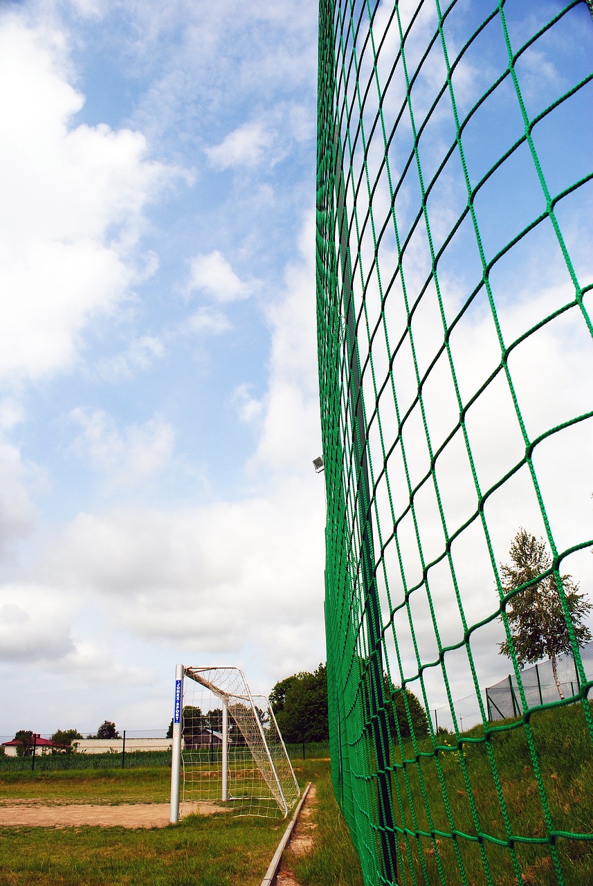 但同时他的 但同时他的