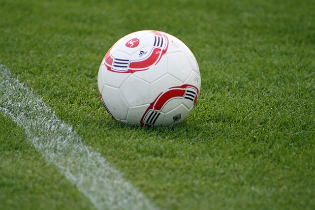 无论是在学 无论是在学