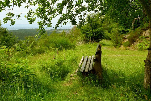 其影響力的 其影響力的