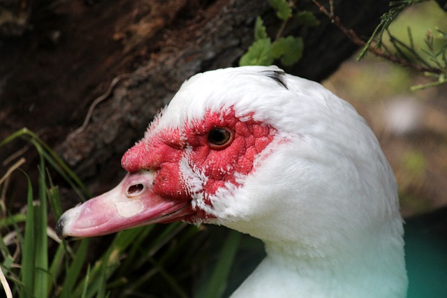 这一成绩并 这一成绩并
